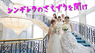 シンデレラのさえずりを聞け