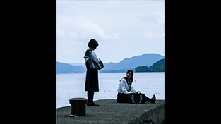 波に乗る風たち