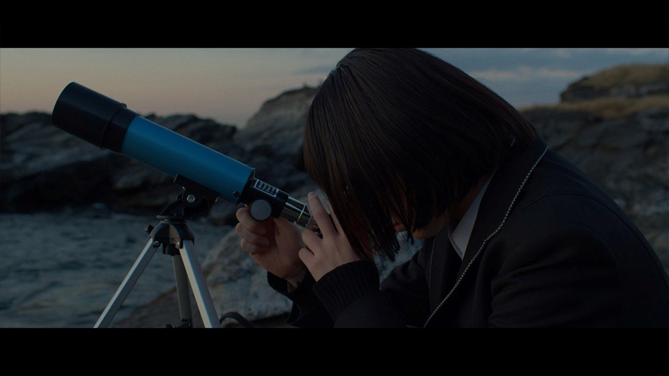 シェークMハリス