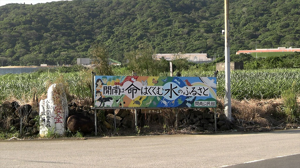 拝啓 住民投票さま　石垣島のまんなかで起きたこと　