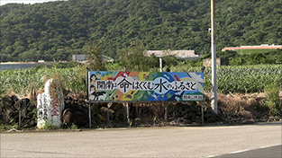 拝啓 住民投票さま